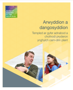 Arwyddion a dangosyddion: Templed ar gyfer adnabod a chofnodi pryderon ynghylch cam-drin plant